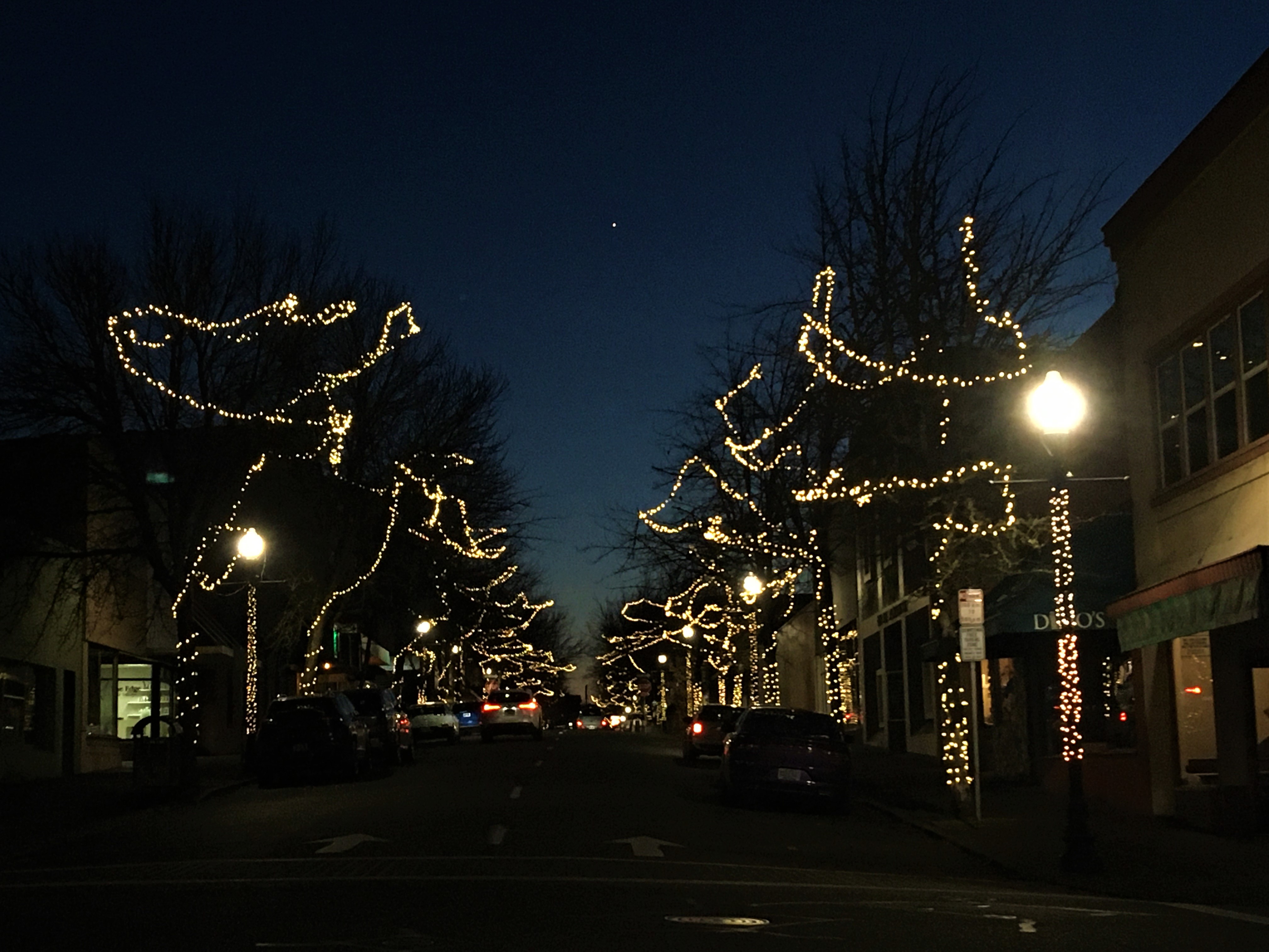 Report streetlight issues to Public Works City of Roseburg